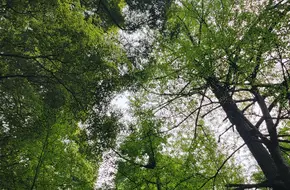 Tiantaishan