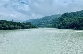 Feisha Weir