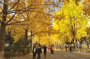 Westvillage
