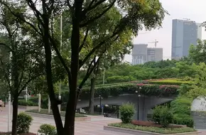 Die Shui Yuan