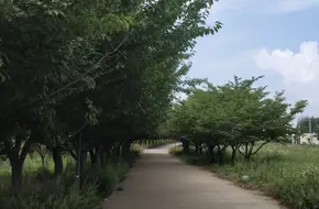 Xiyuan Temple