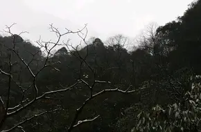 Xiling Snow Mountain Dafeishui Scenic Area