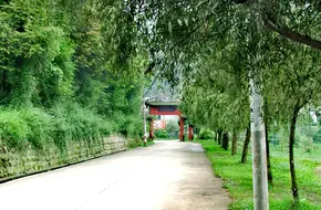 Qingcheng Waishan