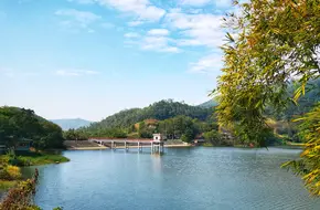 Shau Kei Wo