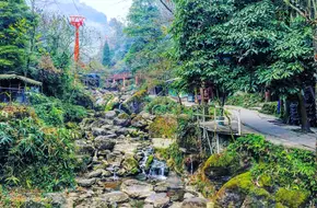 Qingcheng Mountain Back Mountain
