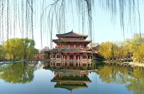 Lotus Garden