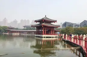 Lotus Garden