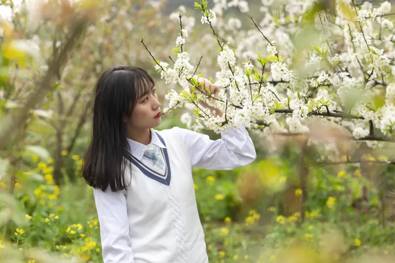 Banan District Baisheng Wupi Cherry Orchard