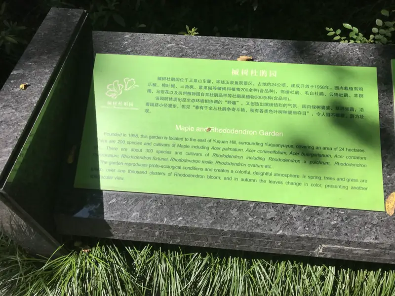 Azalea Garden