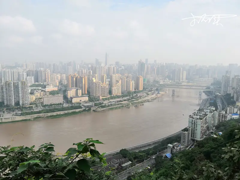 Panoramic View Tower