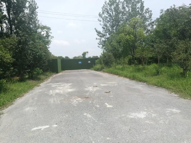 Tai Mei Farm