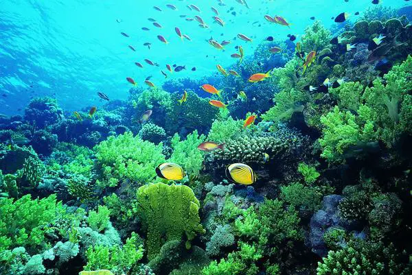 Xiamen Underwater World