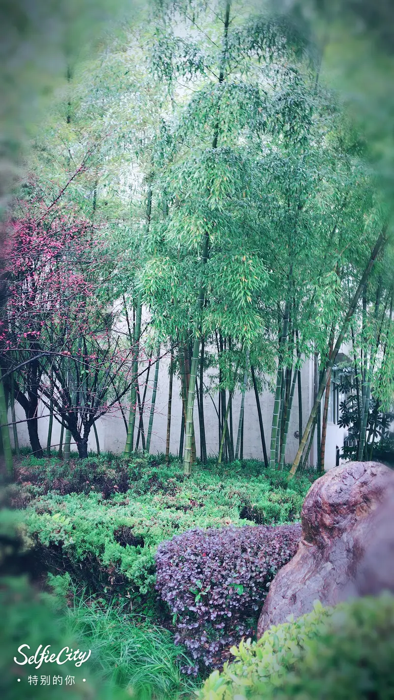 Yongqian Square, Yuquan Campus, Zhejiang University