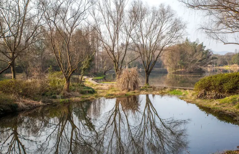 Longhongjian Scenic Area
