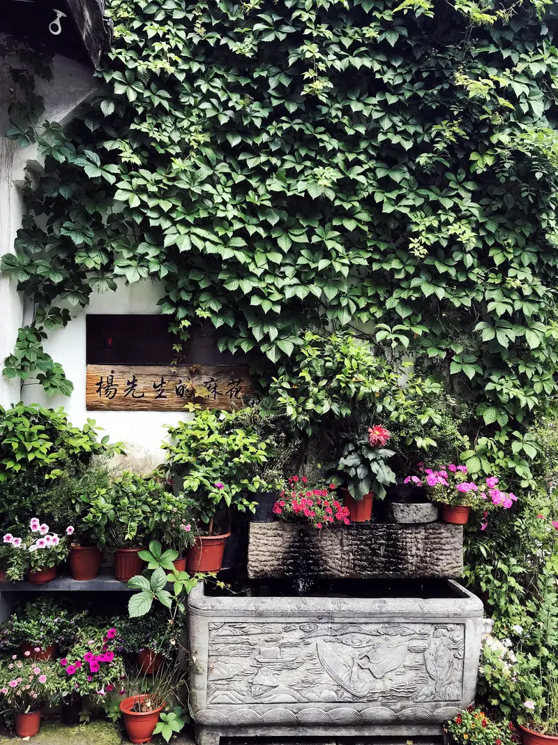 Jiangcun Market Slow Life Block