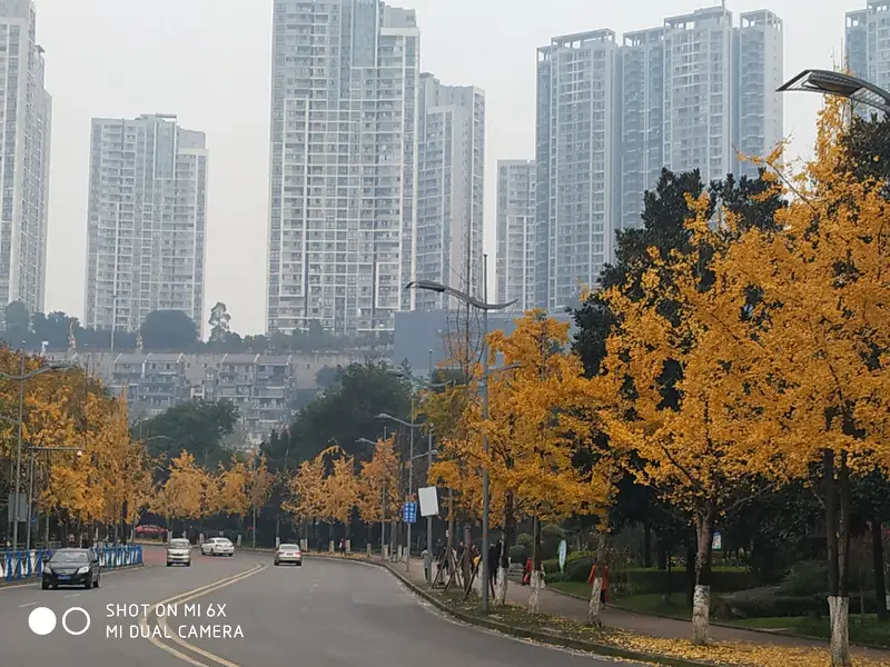 Yuanju Old Street Ancient Town