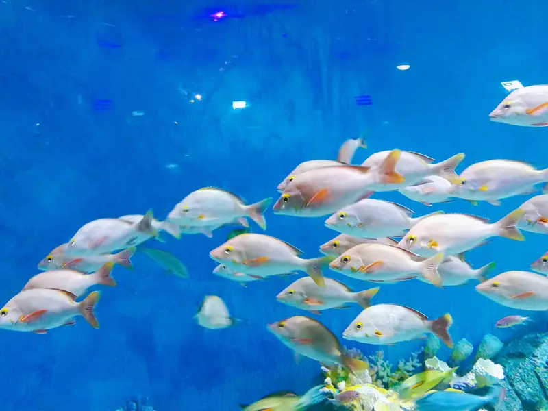 Chongqing Hanhai Ocean Park