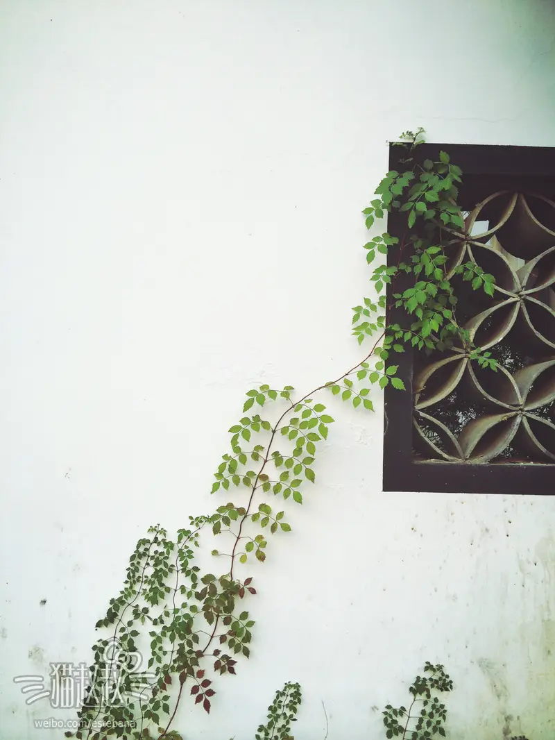 Huayuan Cultural Creative Park