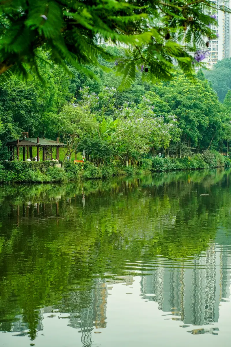 Chongqing Caiyunhu City Wetland Park