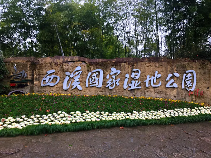 Xixi Wetland Hongyuan
