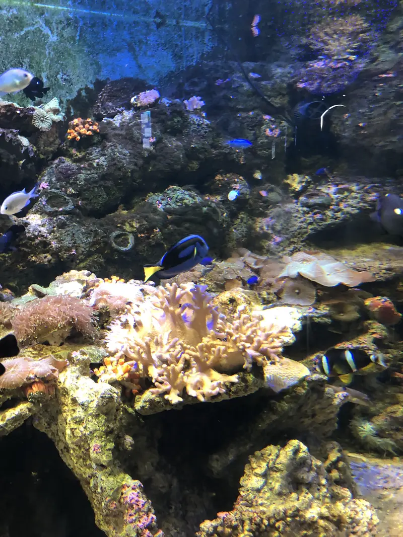 Chongqing Happy Ocean World