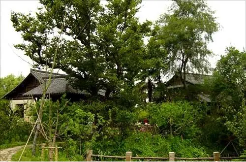 Meizhu Villa
