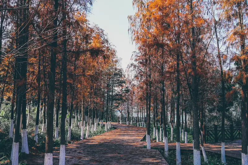 Xiamen International Garden Expo Park