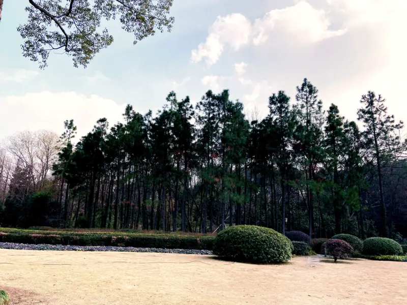Zhejiang University Cultural Square