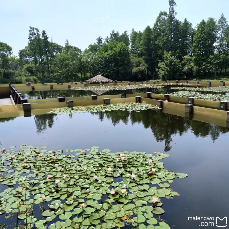 Underwater Ecological Sightseeing Gallery