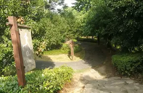 Egret Park