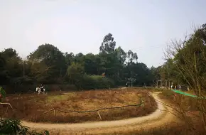 Yunzhuan Fengqing Forest Park