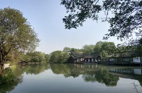 Quanfu Bridge