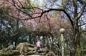 Kong Xiangxi Mansion