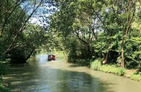 Xixi National Wetland Park East Area