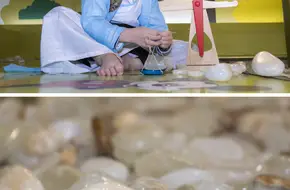 Lingyun Jade Museum