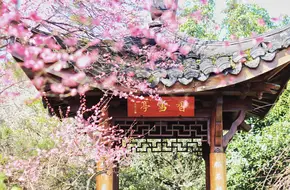 Hangzhou Botanical Graden