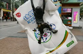 Yangjiaping Pedestrian Street
