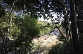 Lingfeng Plum Garden
