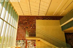 XIAOSONG LIBRARY