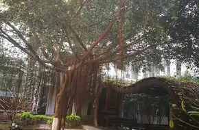Jingxian Pavilion