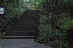 Hong'En Temple Forest Park