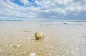 Rainbow Beach