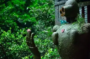 Kidd Garden