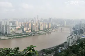 Panoramic View Tower