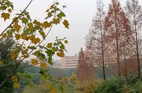 Chinese Virtue Park