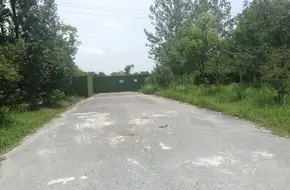Tai Mei Farm