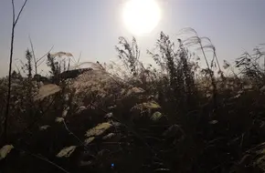 Xixi Agricultural Culture Village