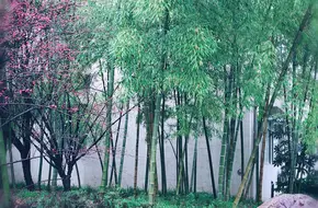 Yongqian Square, Yuquan Campus, Zhejiang University