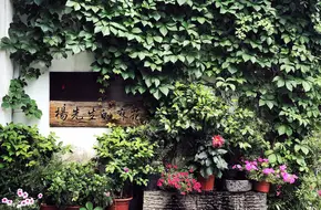 Jiangcun Market Slow Life Block