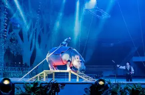 Lingling International Circus Show